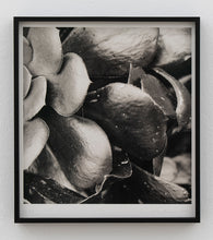 Load image into Gallery viewer, Nico Munuera, S/t (1)
