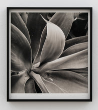 Load image into Gallery viewer, Nico Munuera, S/t (2)
