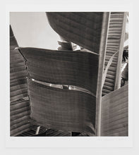 Load image into Gallery viewer, Nico Munuera, S/t (3)
